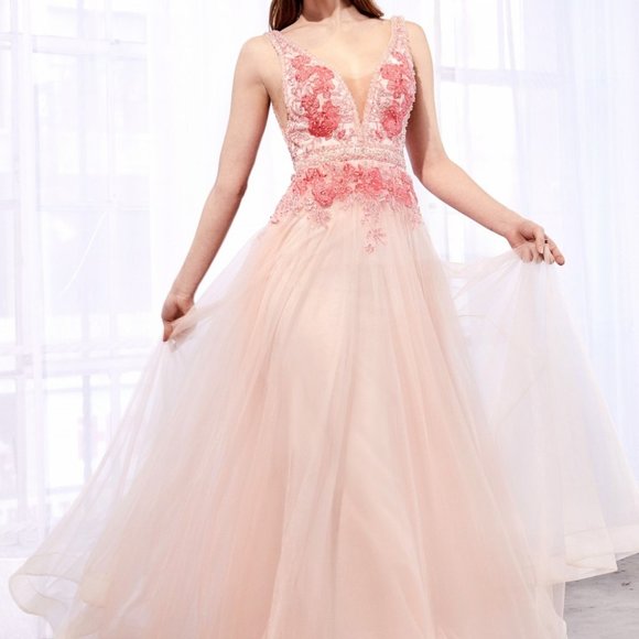 Cinderella Dresses & Skirts - NEW PINK BLUSH llusion V-Neck Sleeveless Prom Dress CDA0072